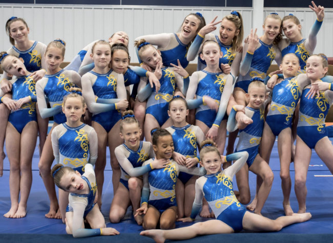 Types Of Gymnastics Classes Offered Gold Medal Gyms